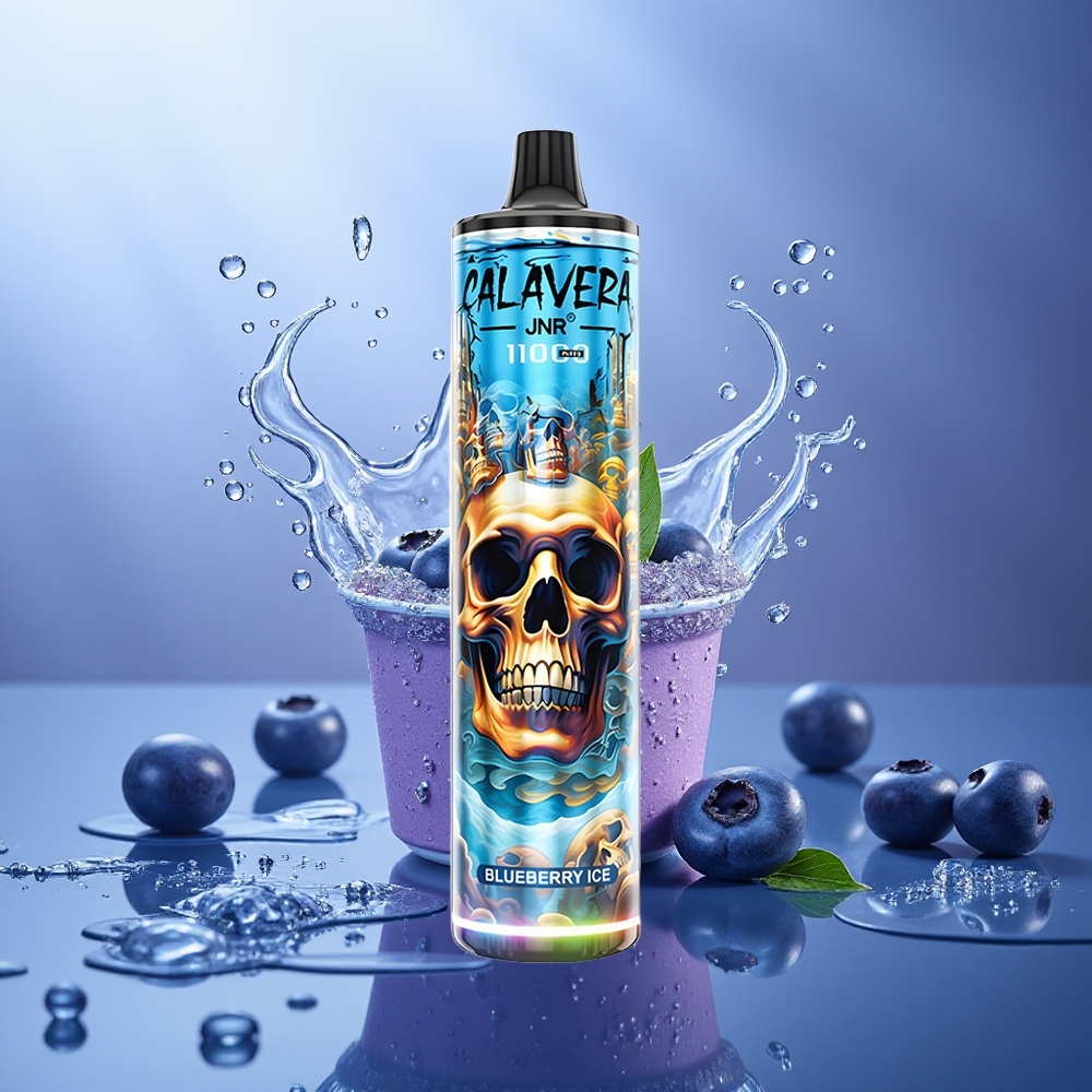 JNR Calavera 11000 Puffs Vape Desechable Arándano Hielo Tipo-C 850mAh 21ml