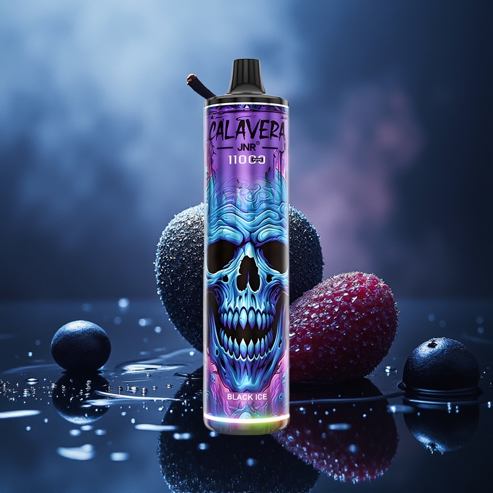 JNR Calavera 11000 Puffs Vape Negro Hielo Tipo-C 850mAh 21ml