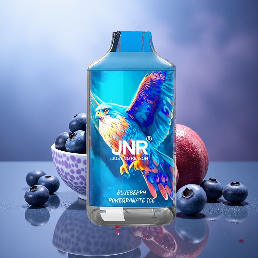 JNR Falcon 16000 Puffs Arándano Granada Helado 850mAh 22ml Dual Mesh Coil JNR Falcon 16000 Puffs Arándano Granada Helado 850mAh 22ml Dual Mesh Coil