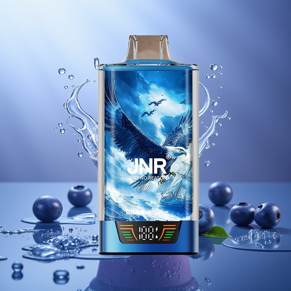 JNR Falcon Pro 28000 Arándano Helado 30ml 950mAh USB-C