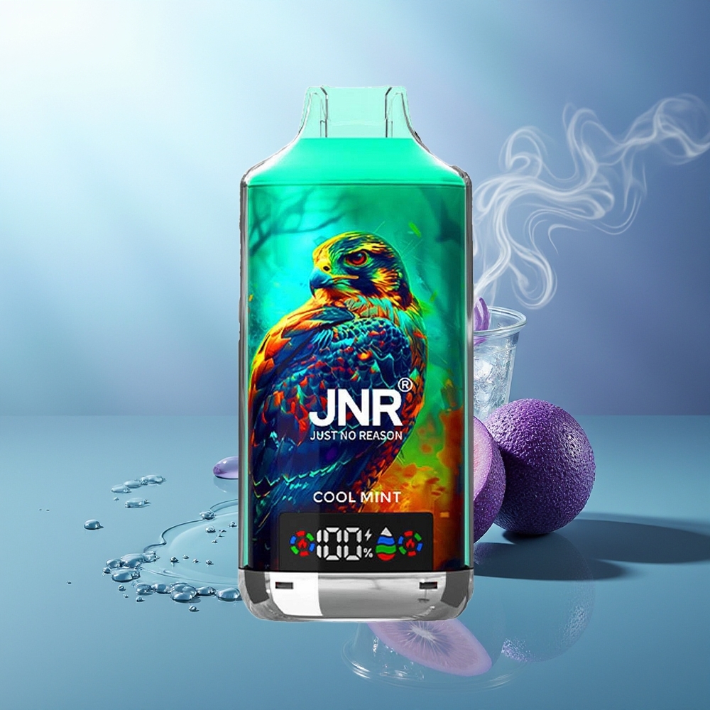 JNR Falcon X 18000 Puffs Menta Refrescante 750mAh Tipo-C Dual Mesh