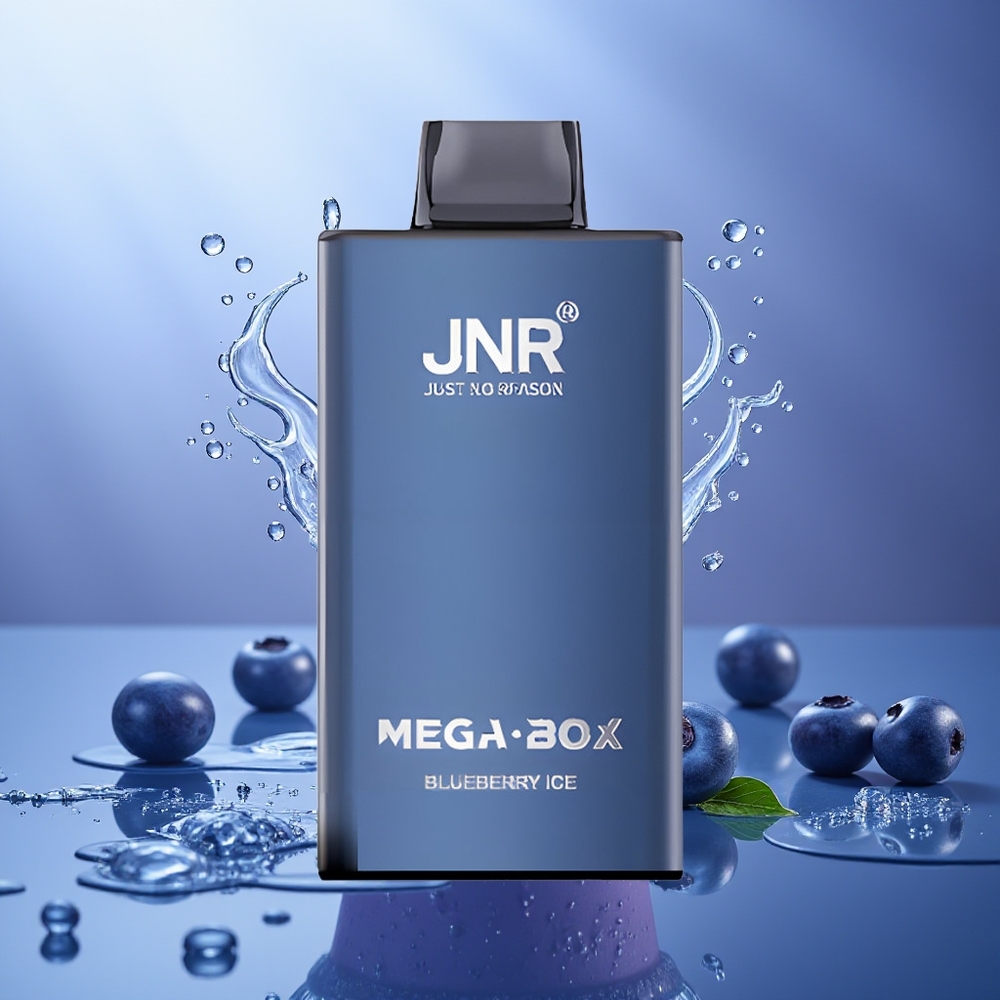JNR Mega Box 25000 Puffs Arándano Hielo Dual Mesh Coil Tipo-C 850mAh