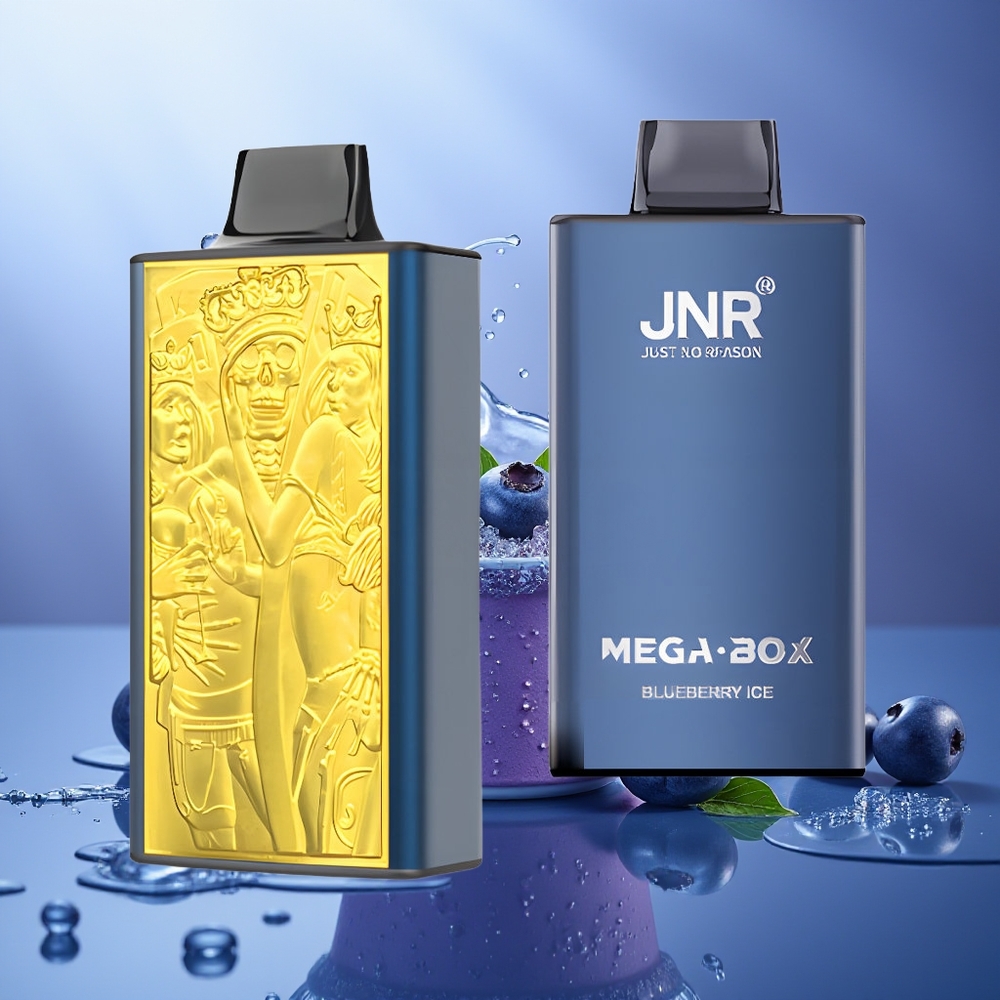 JNR Mega Box 25000 Puffs Arándano Hielo Dual Mesh Coil Tipo-C 850mAh