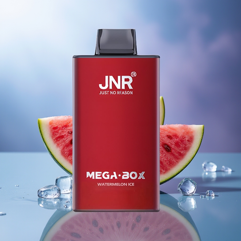 JNR Mega Box 25000 Puffs Sandía Hielo Dual Mesh Tipo-C