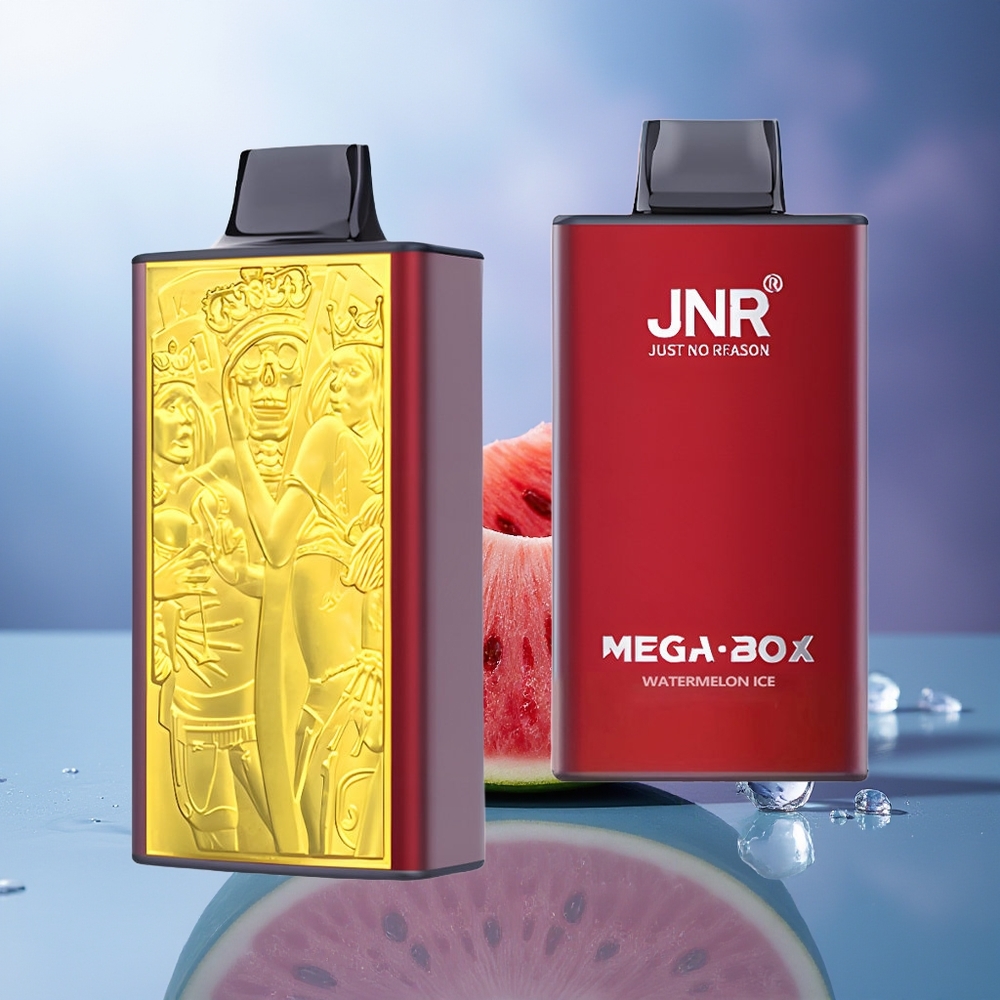 JNR Mega Box 25000 Puffs Sandía Hielo Dual Mesh Tipo-C
