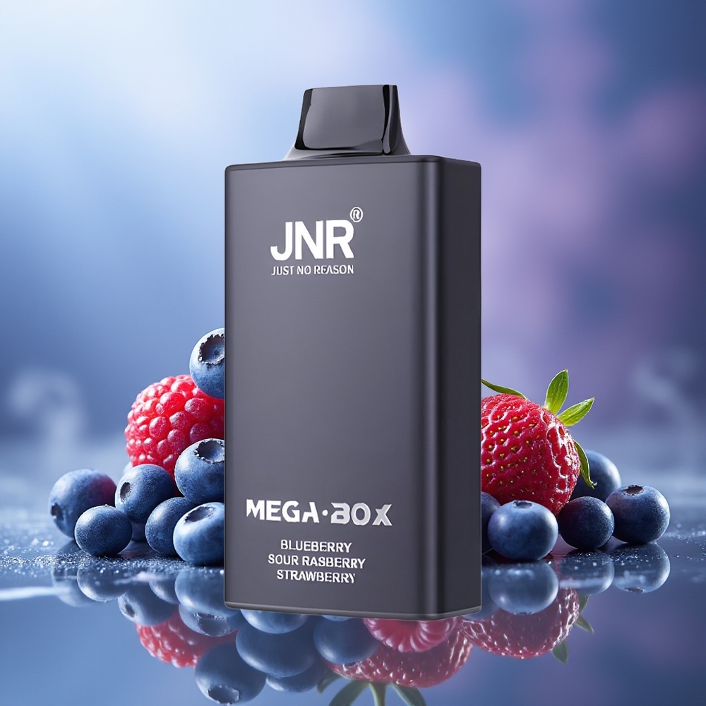 JNR Mega Box 25000 Puffs Vape Desechable Arándano Agrio Frambuesa Fresa Dual Mesh Coil Tipo-C 850mAh