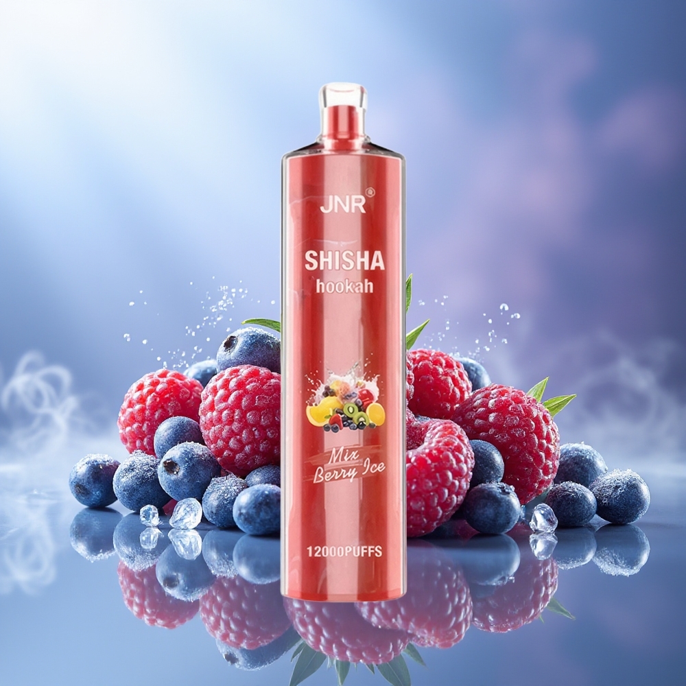 JNR Shisha Hookah 12000 Puffs Berry Ice 750mAh Type-C