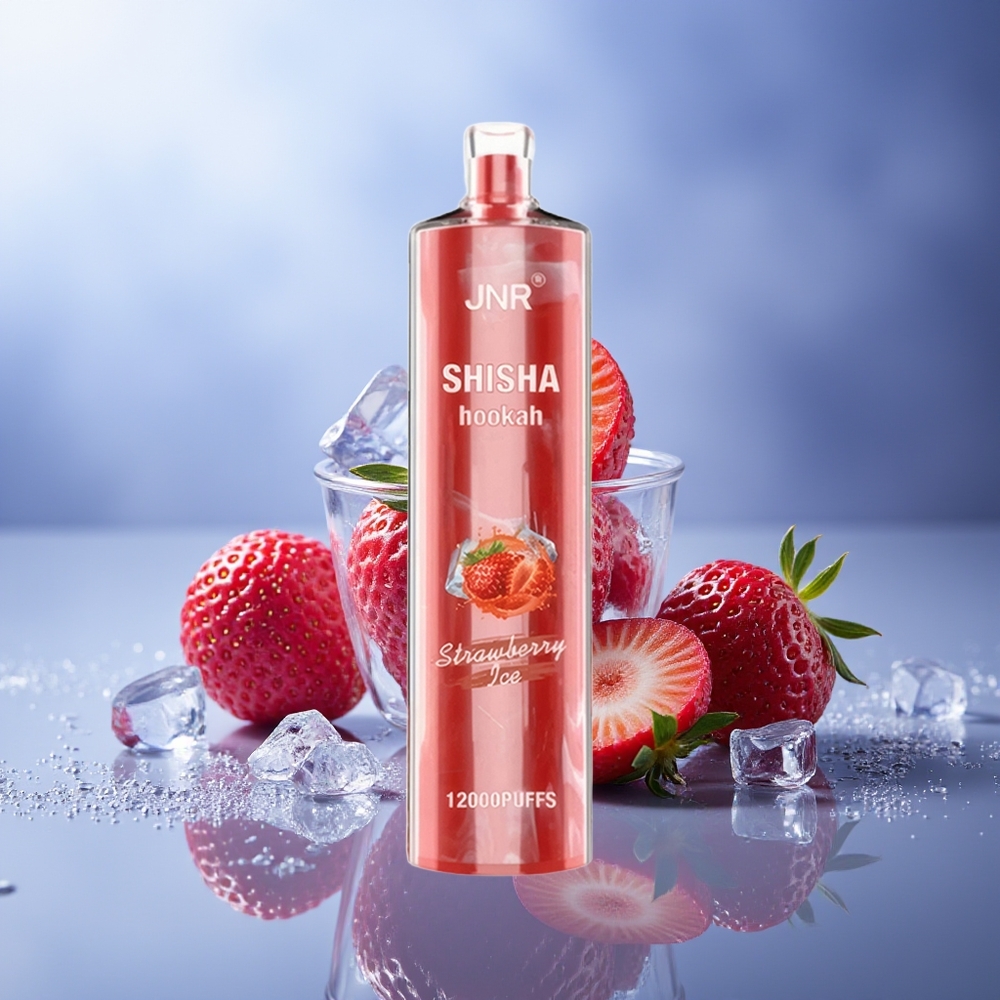 JNR Shisha Hookah 12000 Puffs Fresa Helada 750mAh Tipo-C