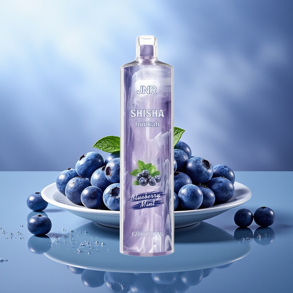 JNR Shisha Hookah 12000 Puffs Menta Arándano 750mAh Tipo-C